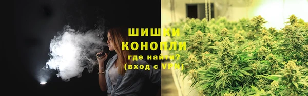 spice Белокуриха