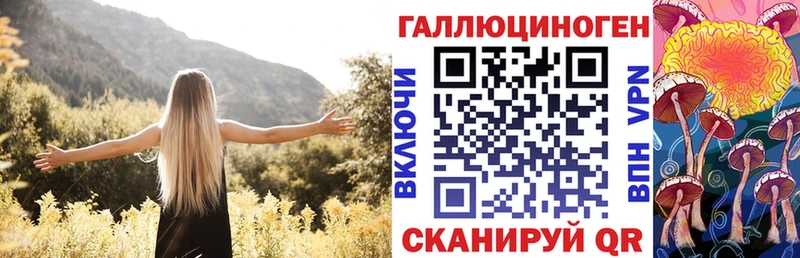 наркота  mega зеркало  Псилоцибиновые грибы прущие грибы  Жиздра 